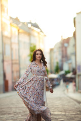 beautiful girl on a field of flowers in a beautiful dress