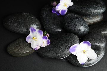 Fototapeta na wymiar Stones and flowers in water on dark background. Zen lifestyle