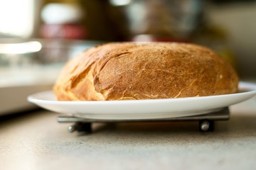 Homemade bread, bread, buns, etc.