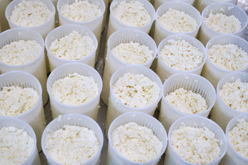 Stage in production of cheese - Forming pressing of cheese mass. Cheese grains about 6 mm in size in molding glasses. Decontamination of the intermediate product. Private small-scale cheese factory..