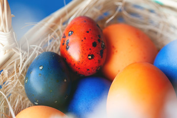 Easter eggs in trendy colors in the basket. The concept of stylish natural decoration for Easter, minimalistic, zero waste, greeting cards, etc.