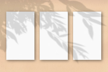3 vertical sheets of white textured paper on a pastel yellow wall background. Mockup with an overlay of plant shadows. Natural light casts a shadow from the top of the field plants and flowers