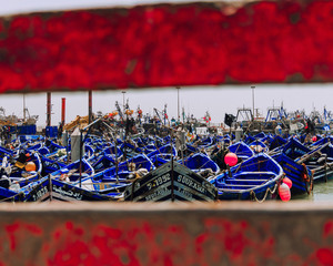 boats