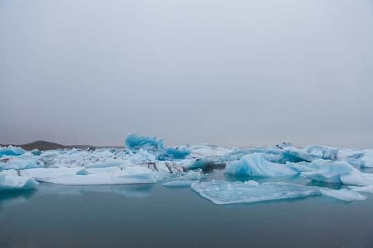 Eisberge in isl&auml;ndischer Gletscherlagune J&ouml;kulsarlon, teilweise mit Seehunden. Gletscherabbruch.