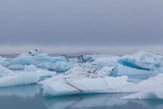 Eisberge in isl&auml;ndischer Gletscherlagune J&ouml;kulsarlon, teilweise mit Seehunden. Gletscherabbruch.