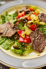 Delicious food: slow cooked pulled beef with fresh vegetable salad close-up on a plate. 