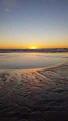 Sunset in the Pacific ocean in Los Angeles. With a Seagull. Horizontally and vertically