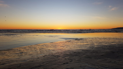 Sunset in the Pacific ocean in Los Angeles. With a Seagull. Horizontally and vertically