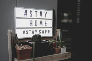 Lightbox sign with text hashtag #STAY HOME and #STAY SAFE with cactus pot home decor. COVID-19. Stay home save concept.