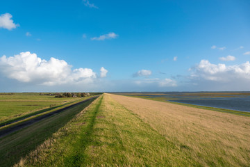 Fototapeta na wymiar Coastal landscape with flood embankment near Westerhever