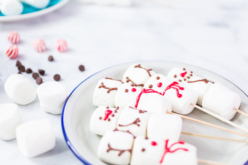 Marshmallow snowman and reindeer on sticks