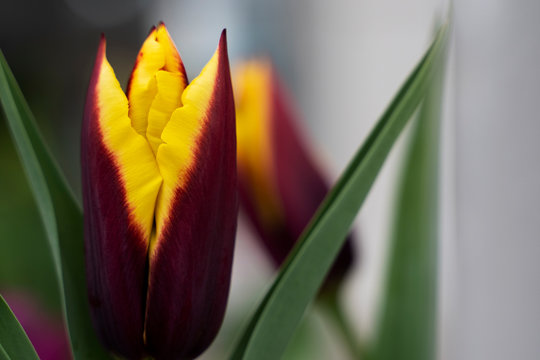 &Acirc;&copy; Vaggelis Mantzios | https://instagram.com/vimage_photography