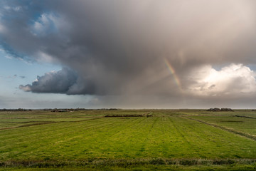Fototapeta na wymiar Landscape with salt marshes near Westerhever