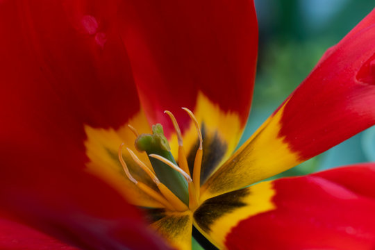&Acirc;&copy; Vaggelis Mantzios | https://instagram.com/vimage_photography