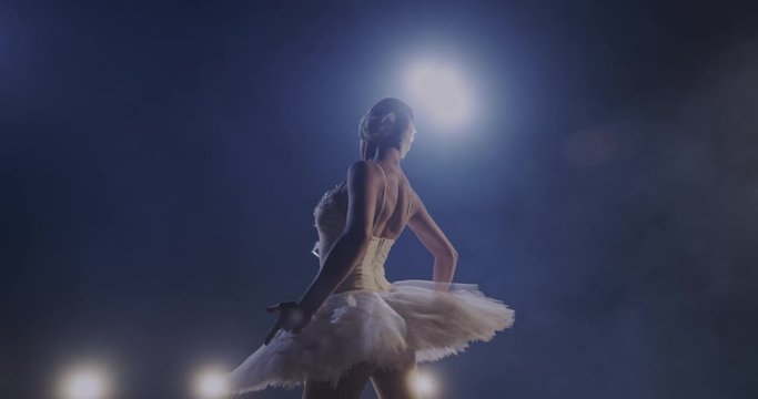 Classical ballet art concept. Back view on charming and beautiful young Caucasian graceful ballerina practicing dance pas in studio with spotlight. Rear of pretty female ballerina rehearsing on stage.
