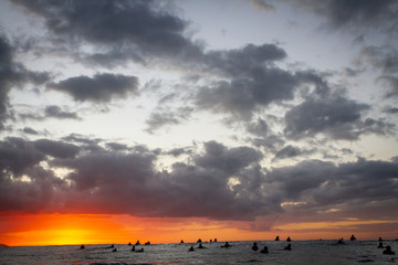 surfers waiting for waves during sunset over the sea