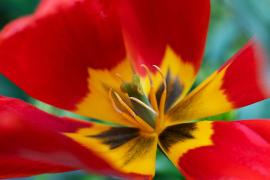 &Acirc;&copy; Vaggelis Mantzios | https://instagram.com/vimage_photography