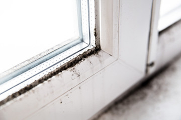 mold in the corner of the window.