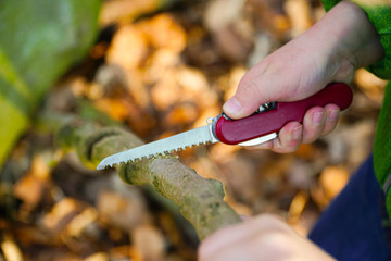 Junge schnitzt mit Messer im Wald