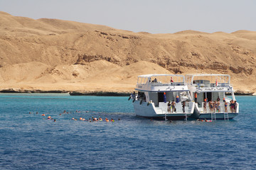 Diving in the Red Sea in Egypt