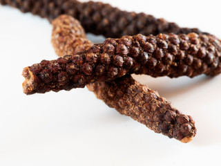 Long pepper (Piper longum), sometimes called Indian long pepper or pipli on white background