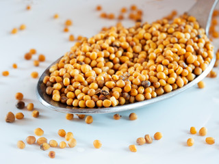 Mustard Seeds Spoon on white background