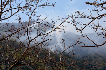 Italia : Incendio montano a Giffoni Valle Piana, 9 Aprile 2020.