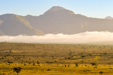 Fototapeta na wymiar Rise of mist on the savanna and mountains