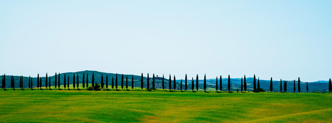 Panoramic view summer day with cloudly sky. Tuscany rural landscape. Countryside, cypresses trees, green field, sun light and cloud. Italy, Europe. Vintage tone filter effect with noise and grain.