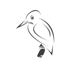 Vector of a kingfishers Black on white background. Bird Design. icon. logo. symbol. Illustrator. animal
