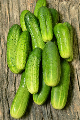 Fresh cucumbers on a wooden table close-up.