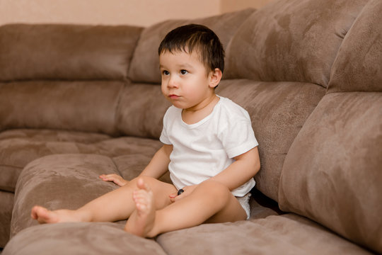 Toddler Boy Brunette Plays At Home on the Couch