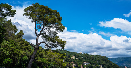 Ligurian sea shore near Portofino. Sunny summer day, Liguria, Italy. Spectacular summer landscape. Colorful seascape of Adriatic sea. Traveling concept background.