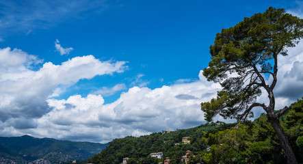 Fototapeta na wymiar Ligurian sea shore near Portofino. Sunny summer day, Liguria, Italy. Spectacular summer landscape. Colorful seascape of Adriatic sea. Traveling concept background.