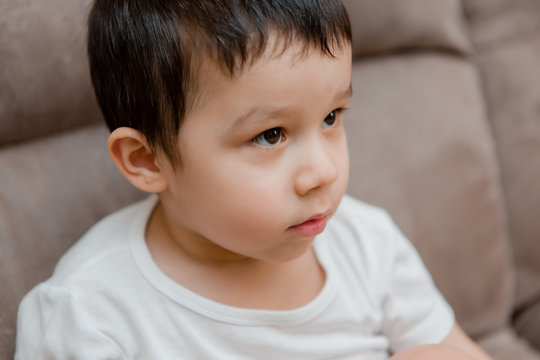 Toddler Boy Brunette Plays At Home on the Couch