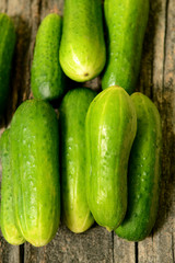 Fresh cucumbers lie together on a wooden table. The texture of green vegetables.