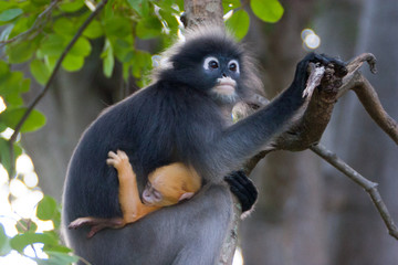 mother and baby