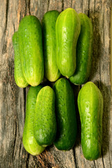 Fresh cucumbers lie together on a wooden table. The texture of green vegetables.