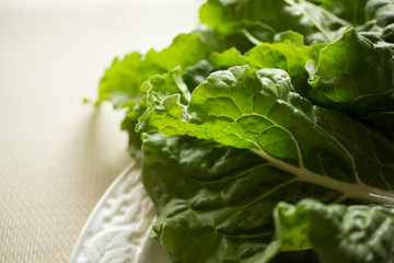 Swiss chard homegrown in a garden to add greens and nutrition to a family diet