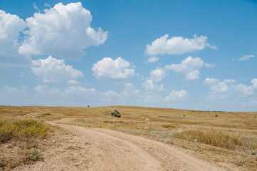 Obraz premium Steppe road. Ecology concept. Summer light