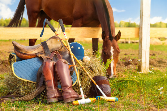 Horse polo concept. Accessories and equipment for playing horse polo are laid at the feet of the horse. Haystack, clothes for the player, saddle, boots, ball and two mallets. Stallion on background