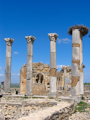 Morocco. Roman archeological site of Volubilis