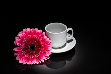 Cup with flower on a dark background