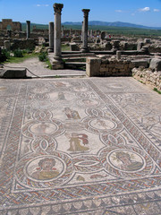 Obraz premium Morocco. Roman archeological site of Volubilis