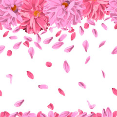 Dahlia flowers with petal. copy space