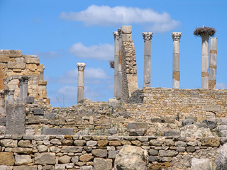 Morocco. Roman archeological site of Volubilis