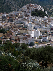 Fototapeta na wymiar Morocco. The beautiful moroccan city Moulay idriss