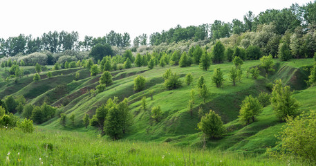 Fototapeta na wymiar Beautiful rural landscape. Hills and grass. Natural outdoor travel background. Beauty world.