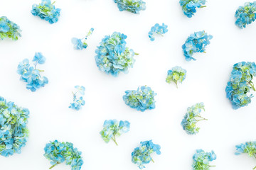 Floral patern made of hydrangea flowers on white background. Flat lay, top view.