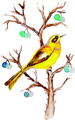 Beautiful Watercolor Exotic Bird Collection